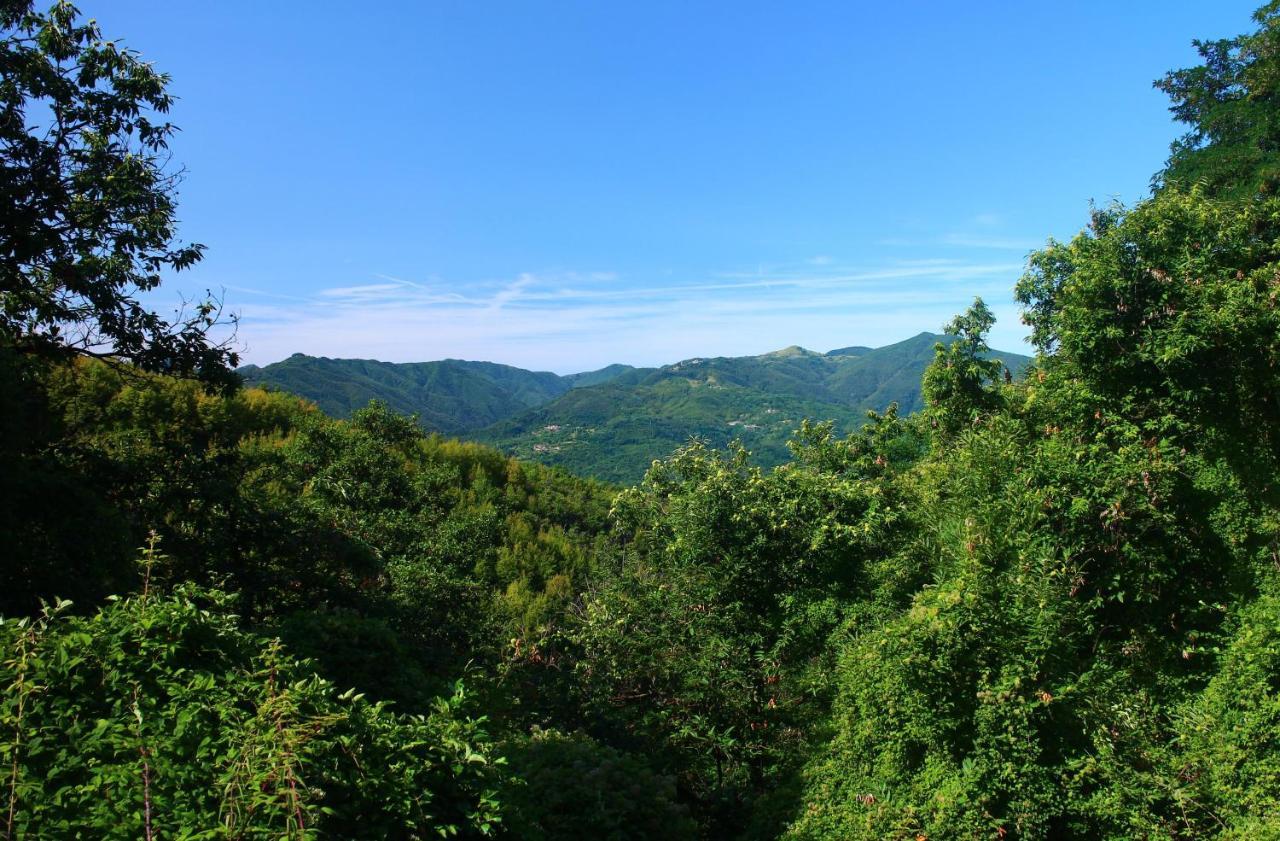 Hotel Podere Conti Filattiera Kültér fotó