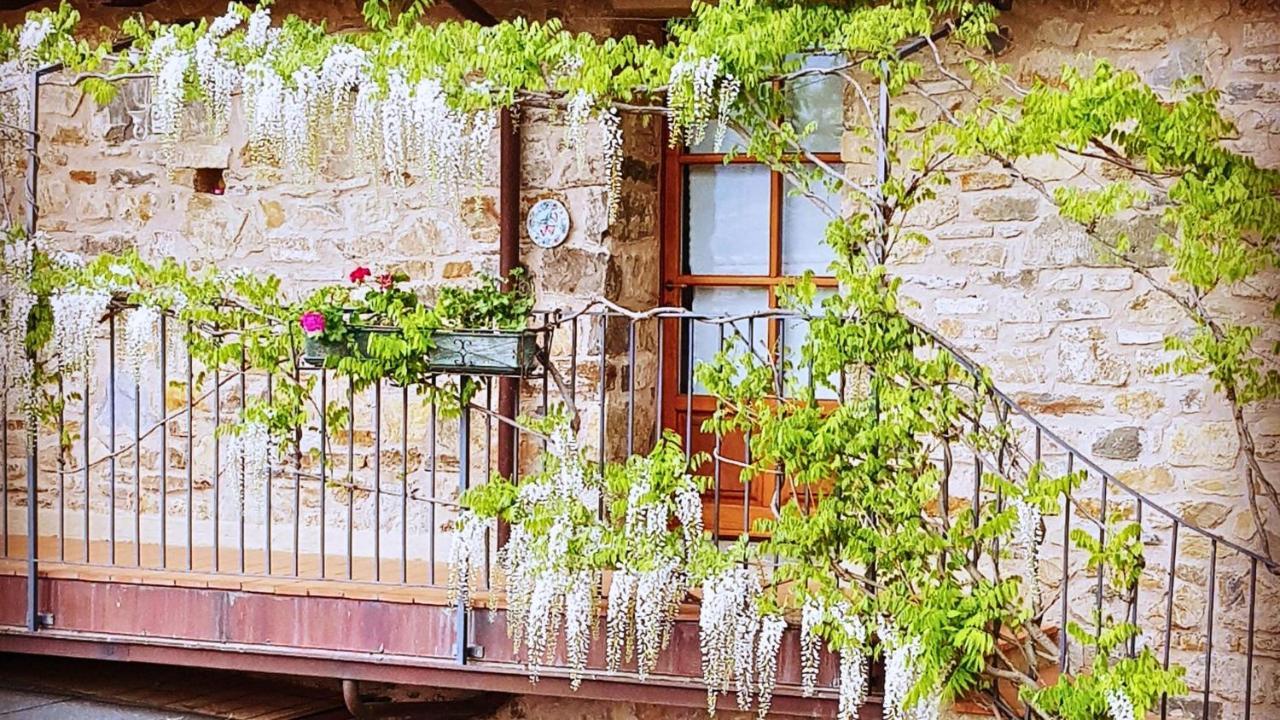 Hotel Podere Conti Filattiera Kültér fotó